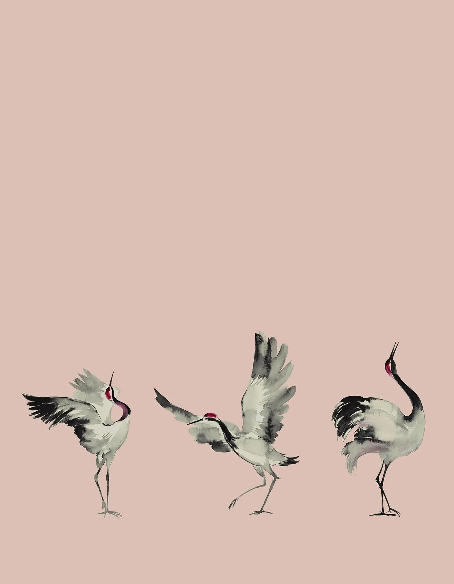 63442 - Crush Motion Fototapete