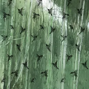 63463 - Crush Motion Fototapete