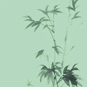 63480 - Crush Motion Fototapete