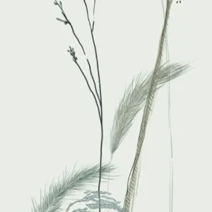 63485 - Crush Motion Fototapete