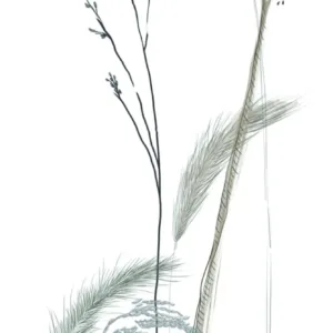 63486 - Crush Motion Fototapete