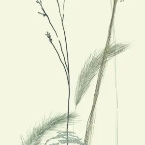 63487 - Crush Motion Fototapete