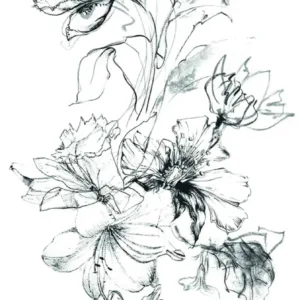 63492 - Crush Motion Fototapete