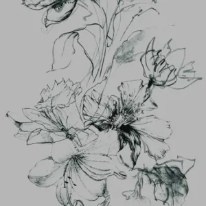 63493 - Crush Motion Fototapete