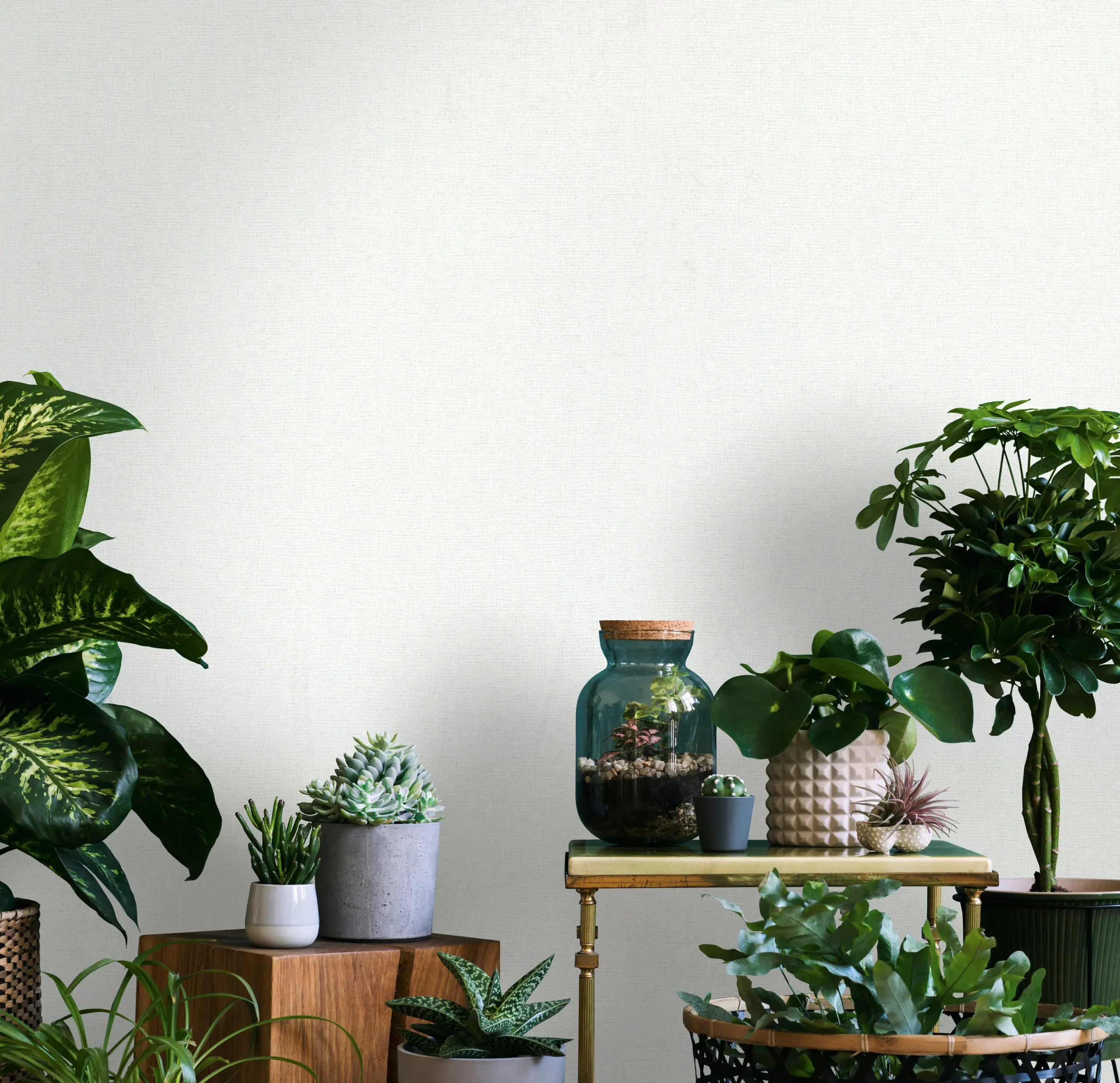 82345 - LEYLA – Bild 2